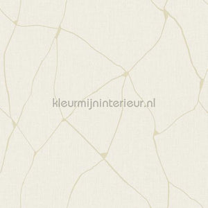 Hookedonwalls New Wave 24837 | Bestellen bij https://www.kleurmijninterieur.nl/