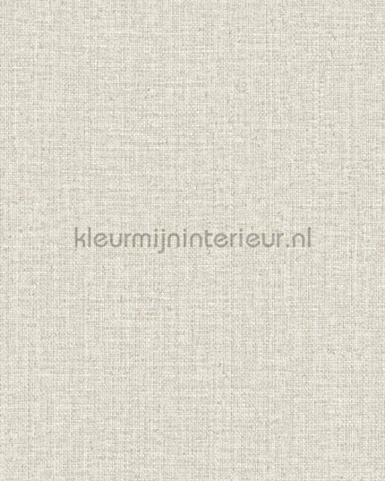 Hookedonwalls Tropical Weave 18857 | Bestellen bij https://www.kleurmijninterieur.nl/