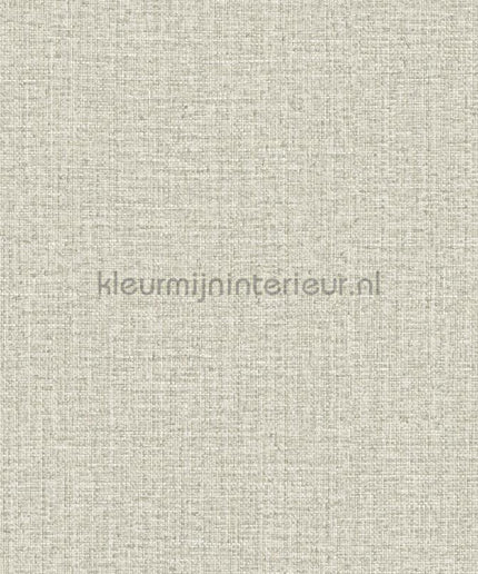 Hookedonwalls Tropical Weave 18855 | Bestellen bij https://www.kleurmijninterieur.nl/