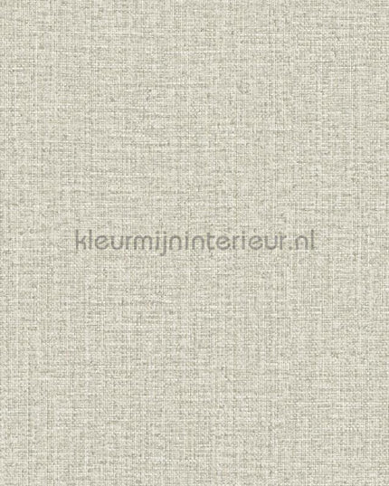 Hookedonwalls Tropical Weave 18855 | Bestellen bij https://www.kleurmijninterieur.nl/