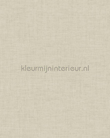 Hookedonwalls Tropical Weave 18840 | Bestellen bij https://www.kleurmijninterieur.nl/