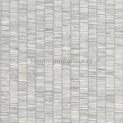 Hookedonwalls Lemuria 60650 | Bestellen bij https://www.kleurmijninterieur.nl/