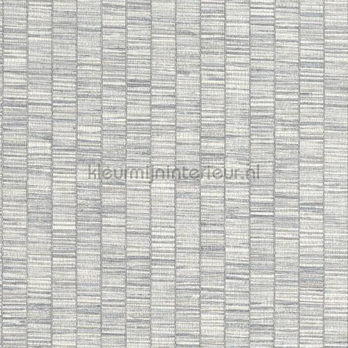 Hookedonwalls Lemuria 60650 | Bestellen bij https://www.kleurmijninterieur.nl/
