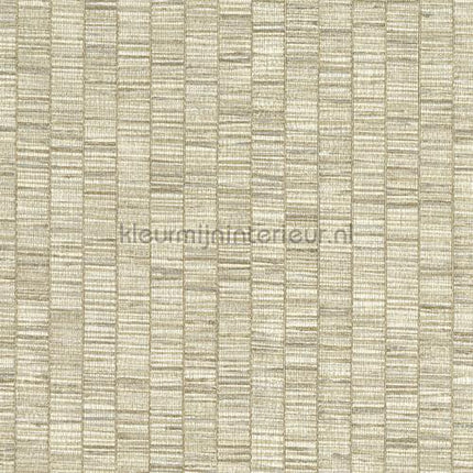 Hookedonwalls Lemuria 60651 | Bestellen bij https://www.kleurmijninterieur.nl/