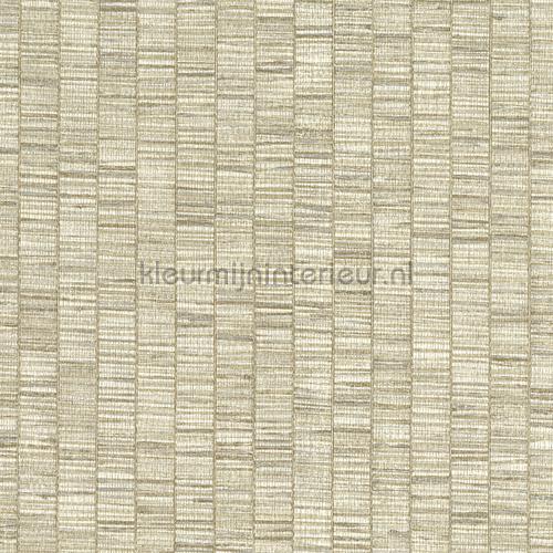 Hookedonwalls Lemuria 60651 | Bestellen bij https://www.kleurmijninterieur.nl/