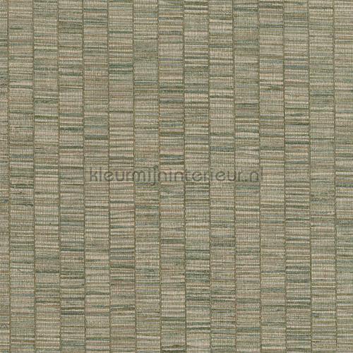 Hookedonwalls Lemuria 60653 | Bestellen bij https://www.kleurmijninterieur.nl/