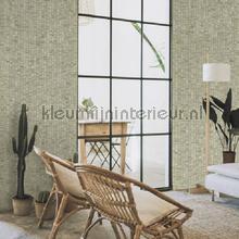 Hookedonwalls Lemuria 60653 | Bestellen bij https://www.kleurmijninterieur.nl/