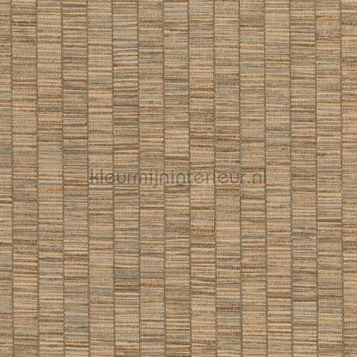 Hookedonwalls Lemuria 60654 | Bestellen bij https://www.kleurmijninterieur.nl/