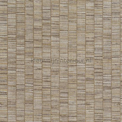 Hookedonwalls Lemuria 60655 | Bestellen bij https://www.kleurmijninterieur.nl/