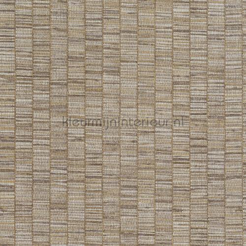 Hookedonwalls Lemuria 60655 | Bestellen bij https://www.kleurmijninterieur.nl/