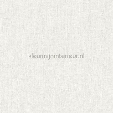 Hookedonwalls New Wave 24849 | Bestellen bij https://www.kleurmijninterieur.nl/