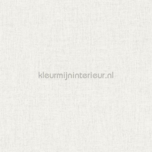 Hookedonwalls New Wave 24849 | Bestellen bij https://www.kleurmijninterieur.nl/