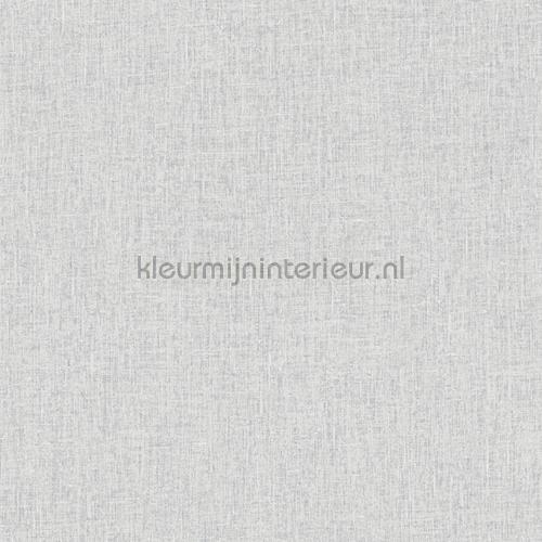 Hookedonwalls New Wave 24850 | Bestellen bij https://www.kleurmijninterieur.nl/