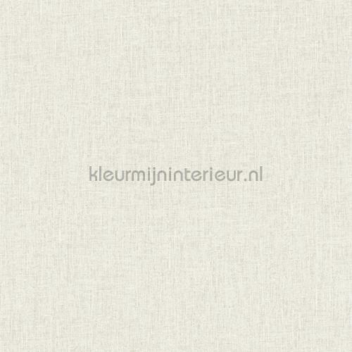 Hookedonwalls New Wave 24851 | Bestellen bij https://www.kleurmijninterieur.nl/