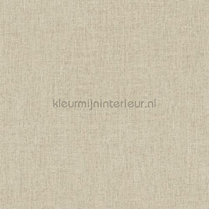 Hookedonwalls New Wave 24853 | Bestellen bij https://www.kleurmijninterieur.nl/