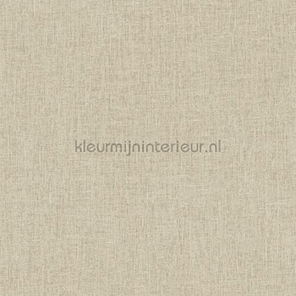 Hookedonwalls New Wave 24853 | Bestellen bij https://www.kleurmijninterieur.nl/