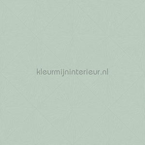 Casadeco Perception PERP85136614 | Bestellen bij https://www.kleurmijninterieur.nl/