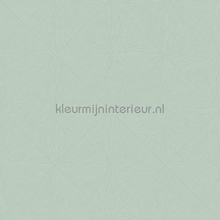 Casadeco Perception PERP85136614 | Bestellen bij https://www.kleurmijninterieur.nl/