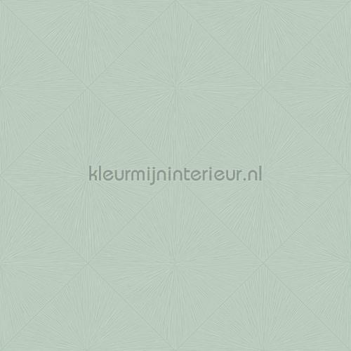 Casadeco Perception PERP85136614 | Bestellen bij https://www.kleurmijninterieur.nl/