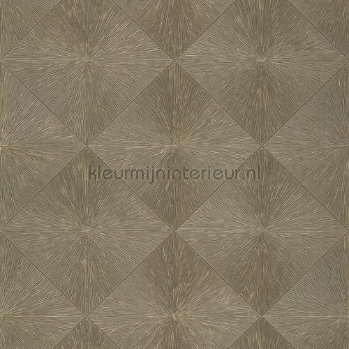 Casadeco Perception PERP85139426 | Bestellen bij https://www.kleurmijninterieur.nl/