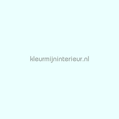 Vadain  Hunter 50 | Bestellen bij https://www.kleurmijninterieur.nl/
