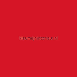 Vadain  Hunter 42 | Bestellen bij https://www.kleurmijninterieur.nl/