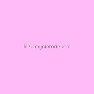 Vadain  Hunter 47 | Bestellen bij https://www.kleurmijninterieur.nl/