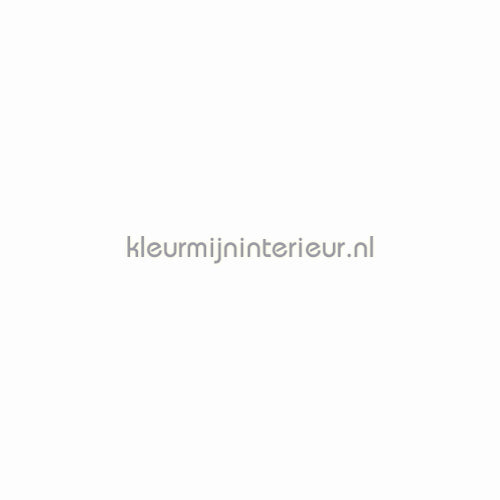 Vadain  Hunter 10 | Bestellen bij https://www.kleurmijninterieur.nl/