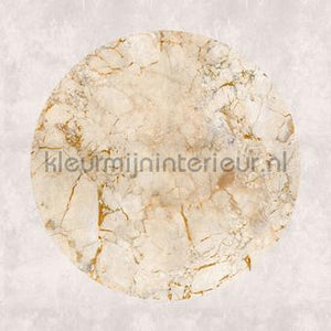AS Creation Walls by Patel 3 DD122368 | Bestellen bij https://www.kleurmijninterieur.nl/