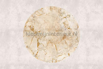 AS Creation Walls by Patel 3 DD122368 | Bestellen bij https://www.kleurmijninterieur.nl/
