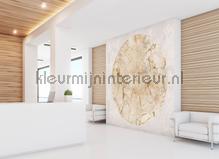 AS Creation Walls by Patel 3 DD122368 | Bestellen bij https://www.kleurmijninterieur.nl/