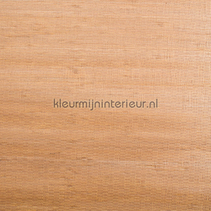 Kleurmijninterieur Natuurlijke-Weefsels GPW-R-238 | Bestellen bij https://www.kleurmijninterieur.nl/