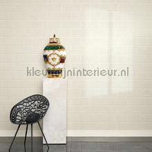 Versace wallpaper Versace 3 343223 | Bestellen bij https://www.kleurmijninterieur.nl/
