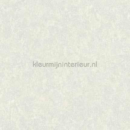 Versace wallpaper Versace 3 935828 | Bestellen bij https://www.kleurmijninterieur.nl/