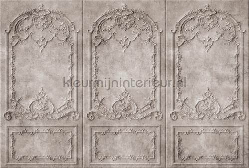AS Creation Walls by Patel 3 DD122692 | Bestellen bij https://www.kleurmijninterieur.nl/