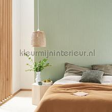 Casadeco Fiber FIBR82397588 | Bestellen bij https://www.kleurmijninterieur.nl/