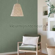 Casadeco Fiber FIBR82397700 | Bestellen bij https://www.kleurmijninterieur.nl/