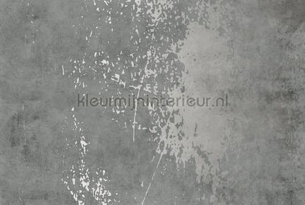 AS Creation Walls by Patel 3 DD122740 | Bestellen bij https://www.kleurmijninterieur.nl/
