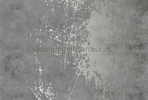 AS Creation Walls by Patel 3 DD122740 | Bestellen bij https://www.kleurmijninterieur.nl/