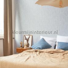 Casadeco Textiles TEXI87546382 | Bestellen bij https://www.kleurmijninterieur.nl/