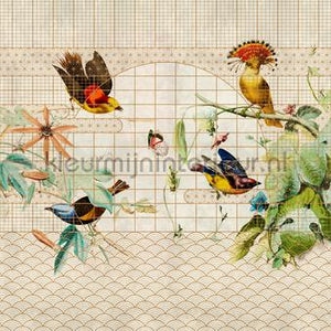 AS Creation Walls by Patel 3 DD122428 | Bestellen bij https://www.kleurmijninterieur.nl/