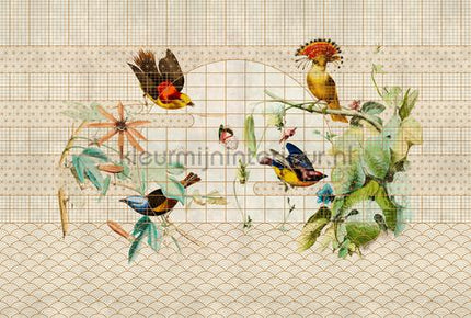 AS Creation Walls by Patel 3 DD122428 | Bestellen bij https://www.kleurmijninterieur.nl/