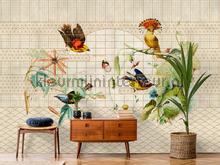 AS Creation Walls by Patel 3 DD122428 | Bestellen bij https://www.kleurmijninterieur.nl/