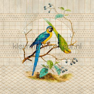 AS Creation Walls by Patel 3 DD122436 | Bestellen bij https://www.kleurmijninterieur.nl/
