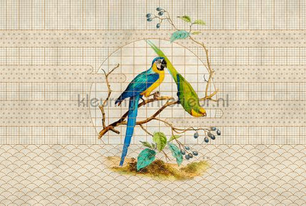 AS Creation Walls by Patel 3 DD122436 | Bestellen bij https://www.kleurmijninterieur.nl/