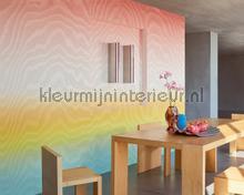 Elitis Moire RM 1029 01 | Bestellen bij https://www.kleurmijninterieur.nl/