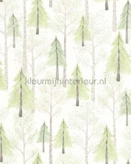 Casadeco Once Upon A Time OUAT88247356 | Bestellen bij https://www.kleurmijninterieur.nl/