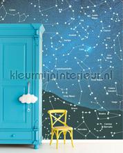 Eijffinger Wallpower Junior 364159 | Bestellen bij https://www.kleurmijninterieur.nl/