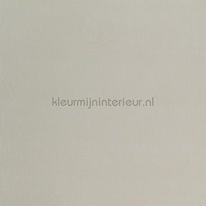DWC Wallstreet wallstreet-02 | Bestellen bij https://www.kleurmijninterieur.nl/