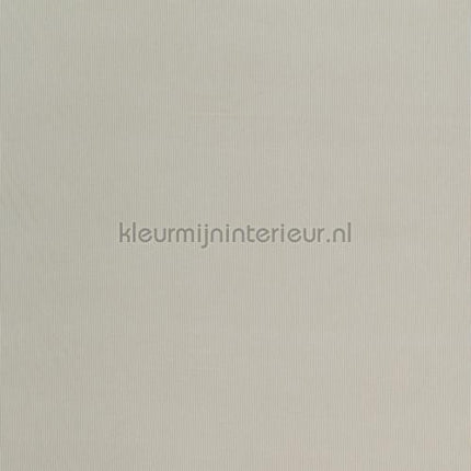 DWC Wallstreet wallstreet-02 | Bestellen bij https://www.kleurmijninterieur.nl/